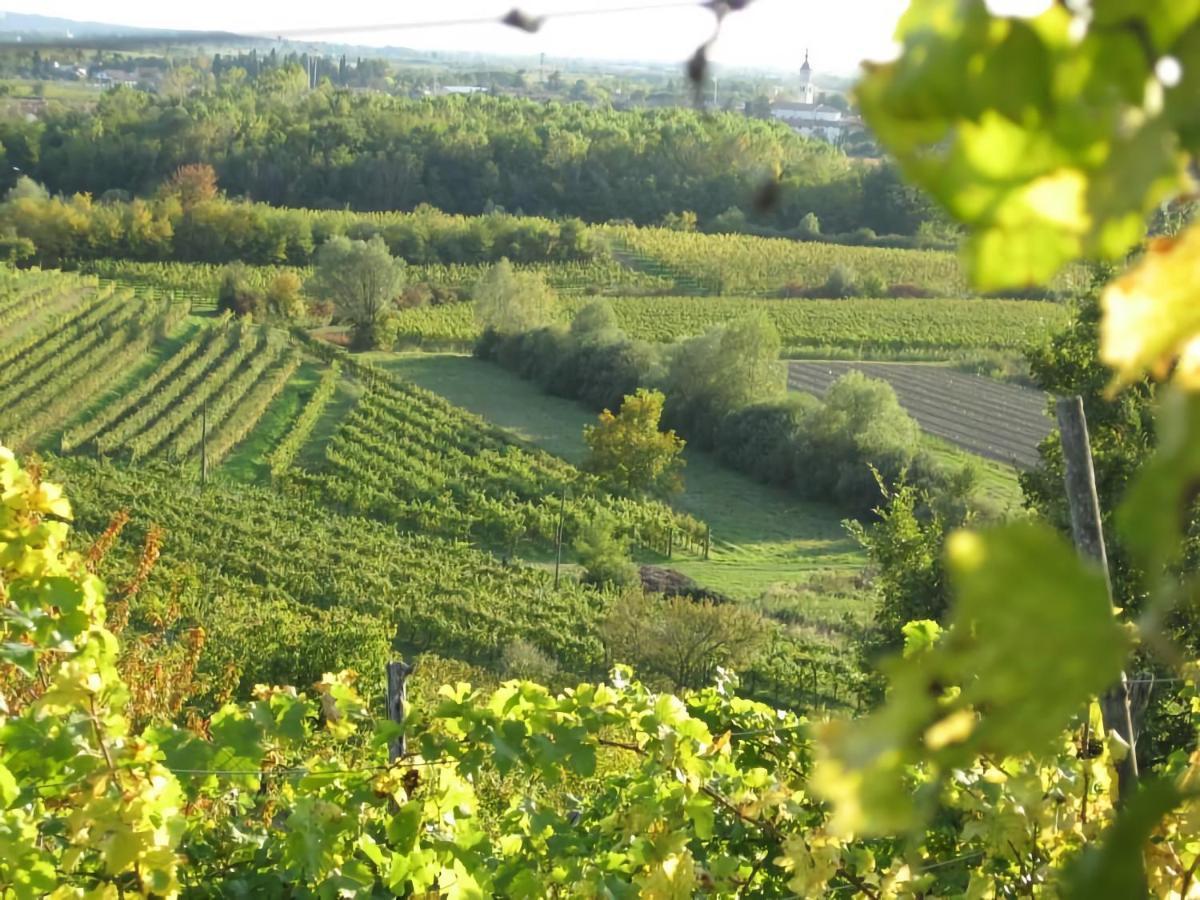 Capriva Del Friuli - Casa Roncus Βίλα Εξωτερικό φωτογραφία