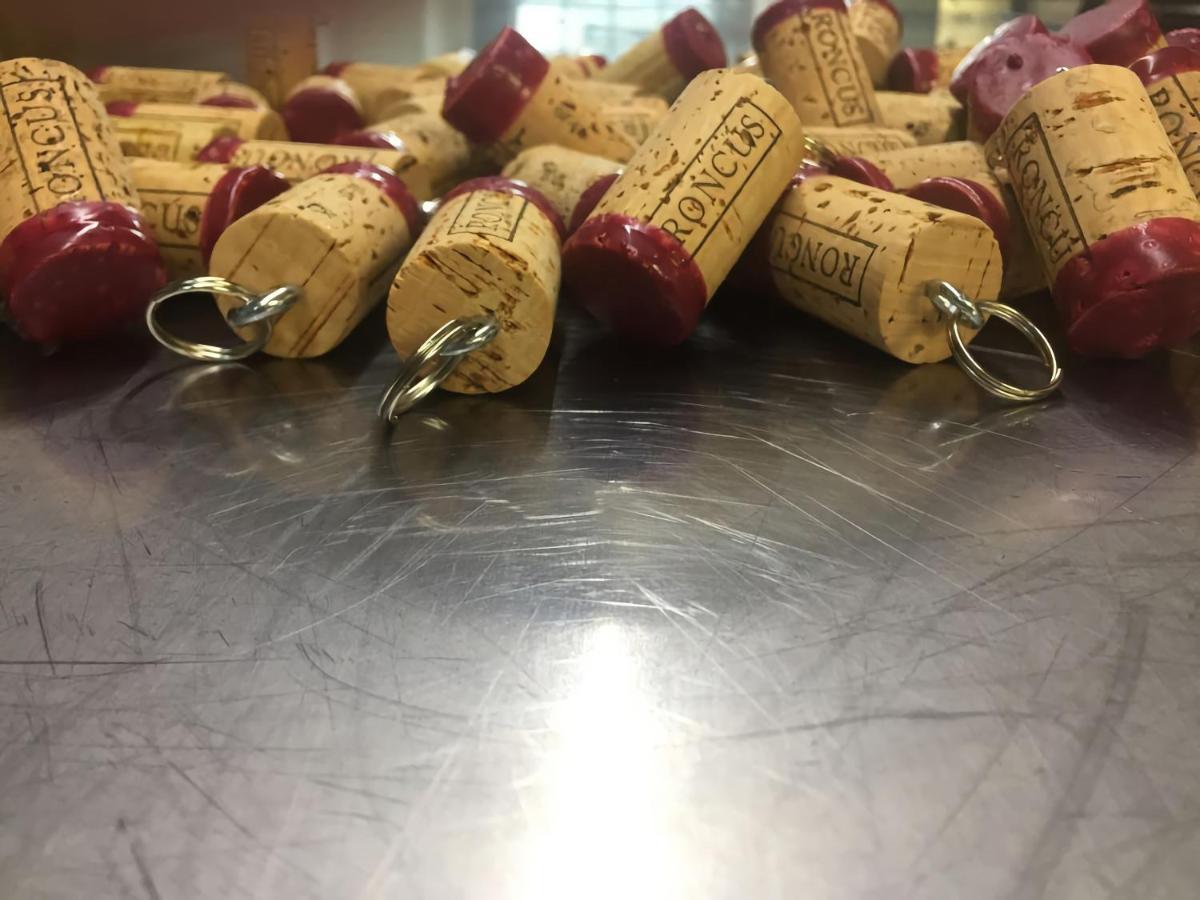 Capriva Del Friuli - Casa Roncus Βίλα Εξωτερικό φωτογραφία